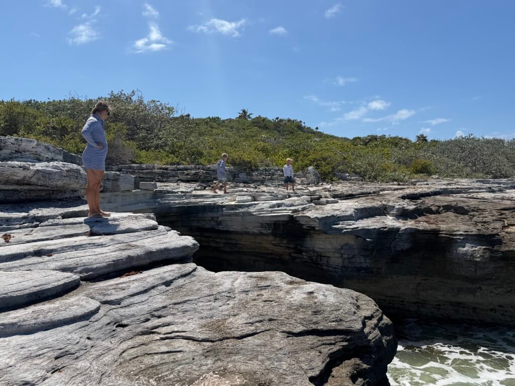 The rugged east coast of Long Island