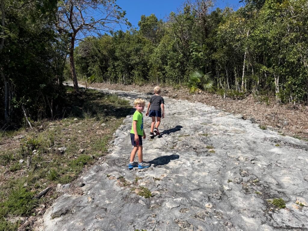 The bumpy path to the Hermitage