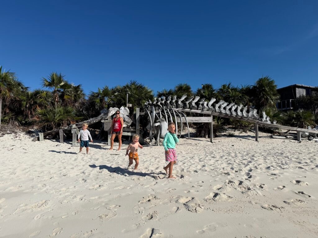 Whale bones at Warderick Wells