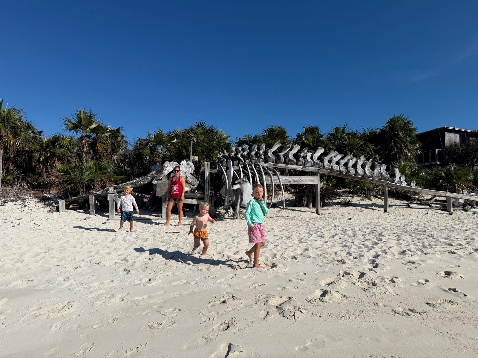 Currents, Cuts, and Catch-ups: Our Trek to Eleuthera