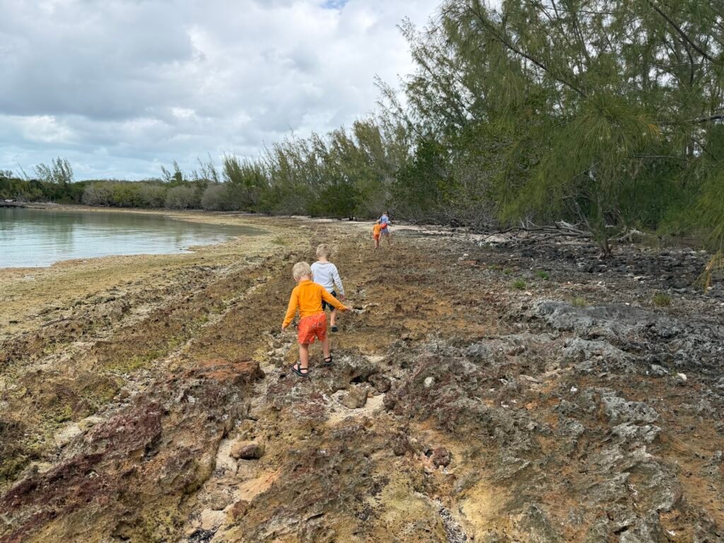 Traversing the sharp rocky coast to get to shore