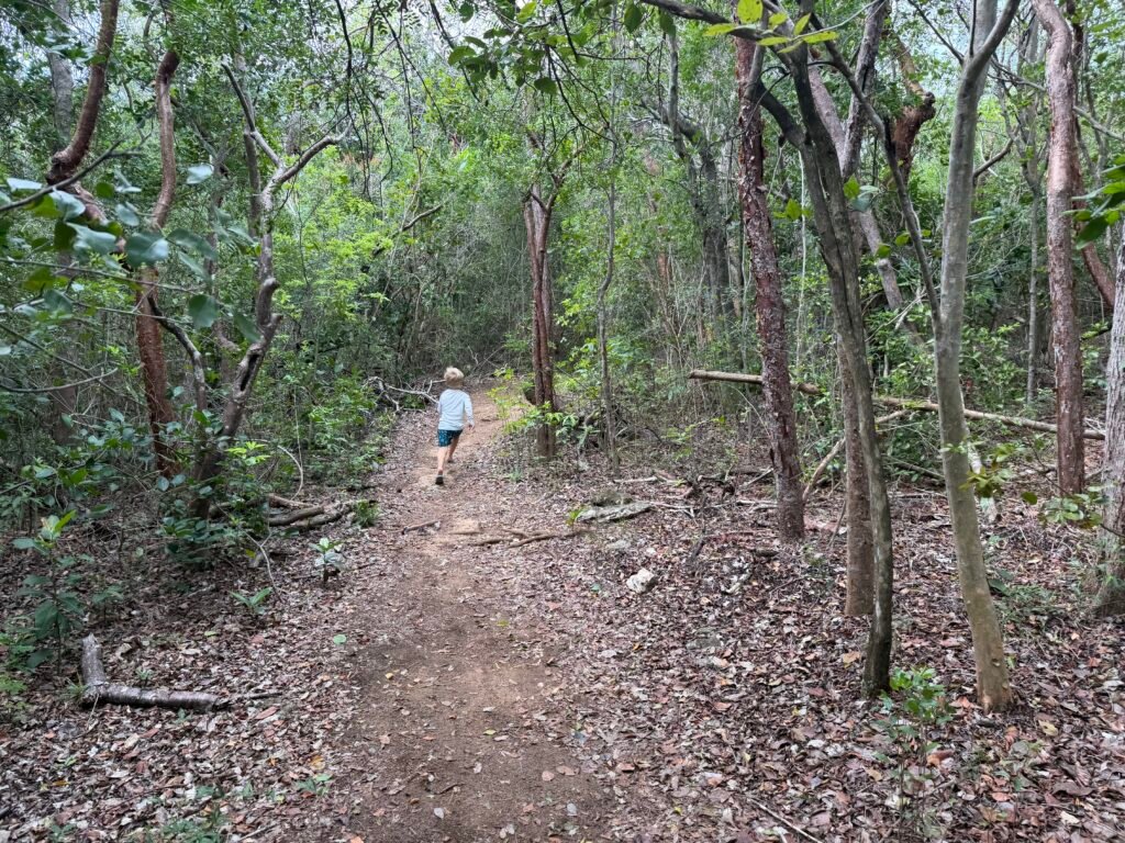 Exploring with the Boys Leading the Way