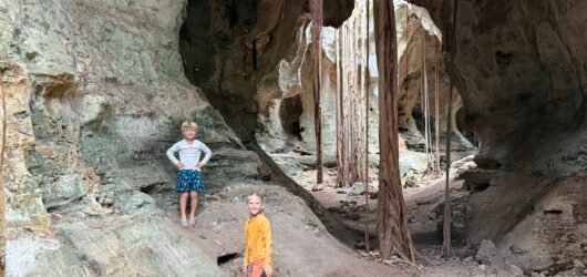 Roots, Rocks, and Rooftops: Exploring the Cathedral Caves