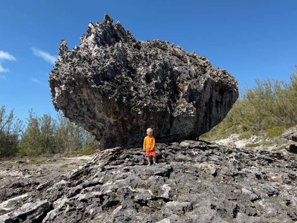 William trying to figure out if he can climb this one